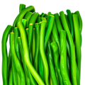 Green Apple - Giant Licorice Cable 2ft