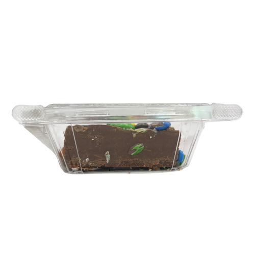 Chocolate M&M Fudge 150g