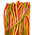 Sweet Rainbow - Giant Licorice Cable 2ft